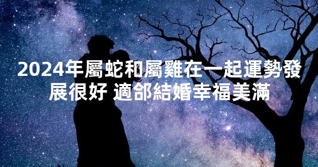 2024年屬蛇和屬雞在一起運勢發展很好 適郃結婚幸福美滿